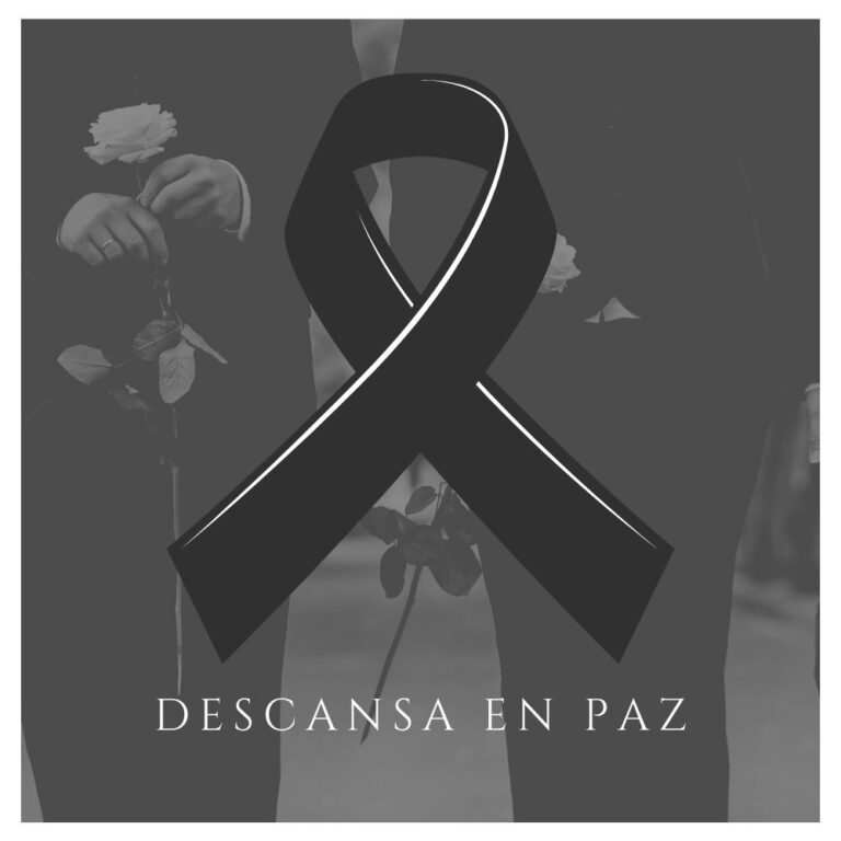 Moño de luto: fotos, blancos, imágenes… | AccesoaLaInformacion©
